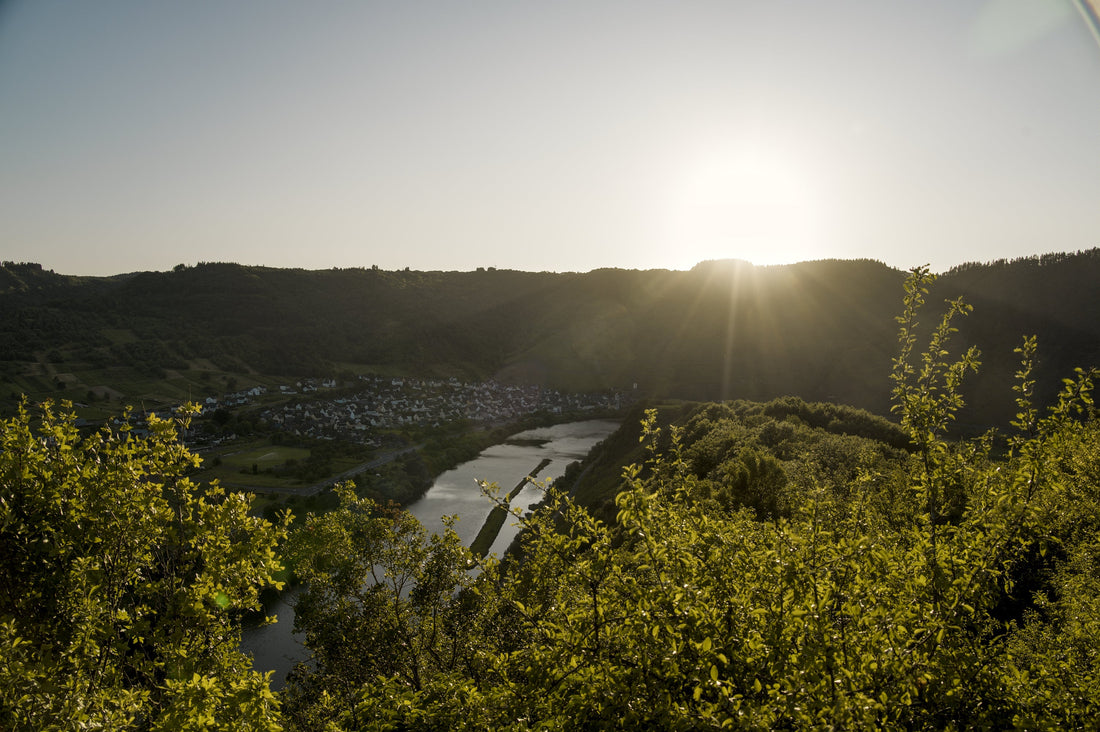 Edelbrände aus Wildobst