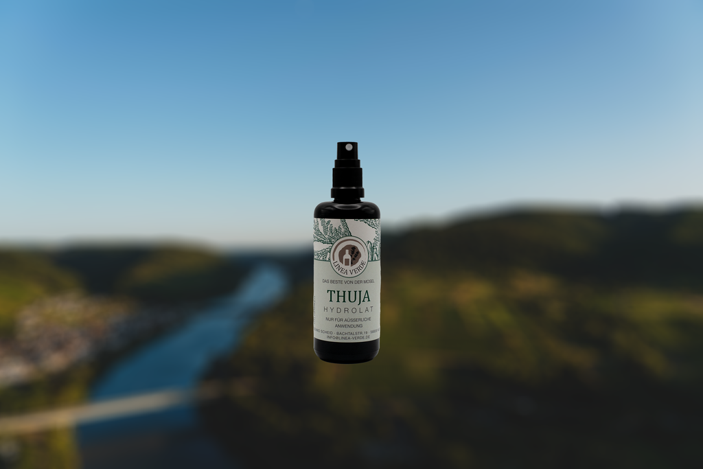 Thuja Raumspray